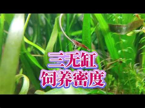 魚缸密度計算|魚缸計算機 